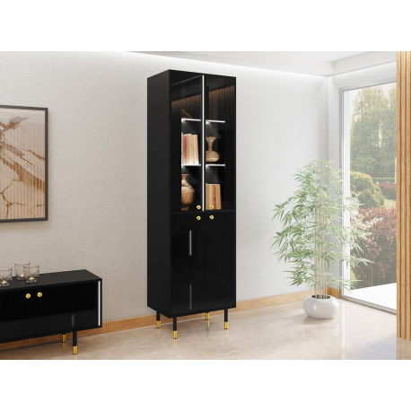 Vitrína 60 Wiastan 05 s LED osvetlením