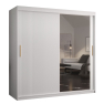 Šatníková skriňa so zrkadlom Towiro Slim 2 180