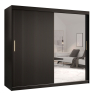 Šatníková skriňa so zrkadlom Towiro Slim 2 200