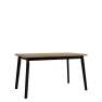 Stôl Harry 80 x 140/180 VI Stôl Harry 80 x 140/180 VI