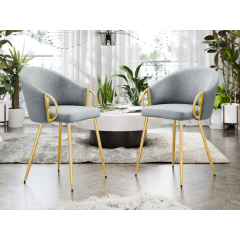 Set dvoch čalúnených jedálenských stoličiek Archie DC-1171