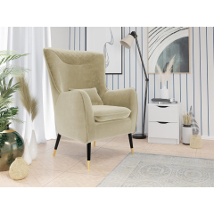 Čalúnené kreslo Arisean