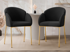 Set 2 ks jedálenských stoličiek Archie DC-1257/GL